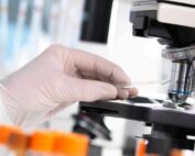 Staying Informed: The Role of Lab Tests in Preventive Healthcare